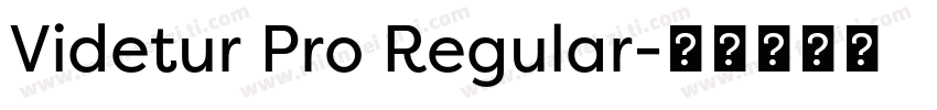 Videtur Pro Regular字体转换
